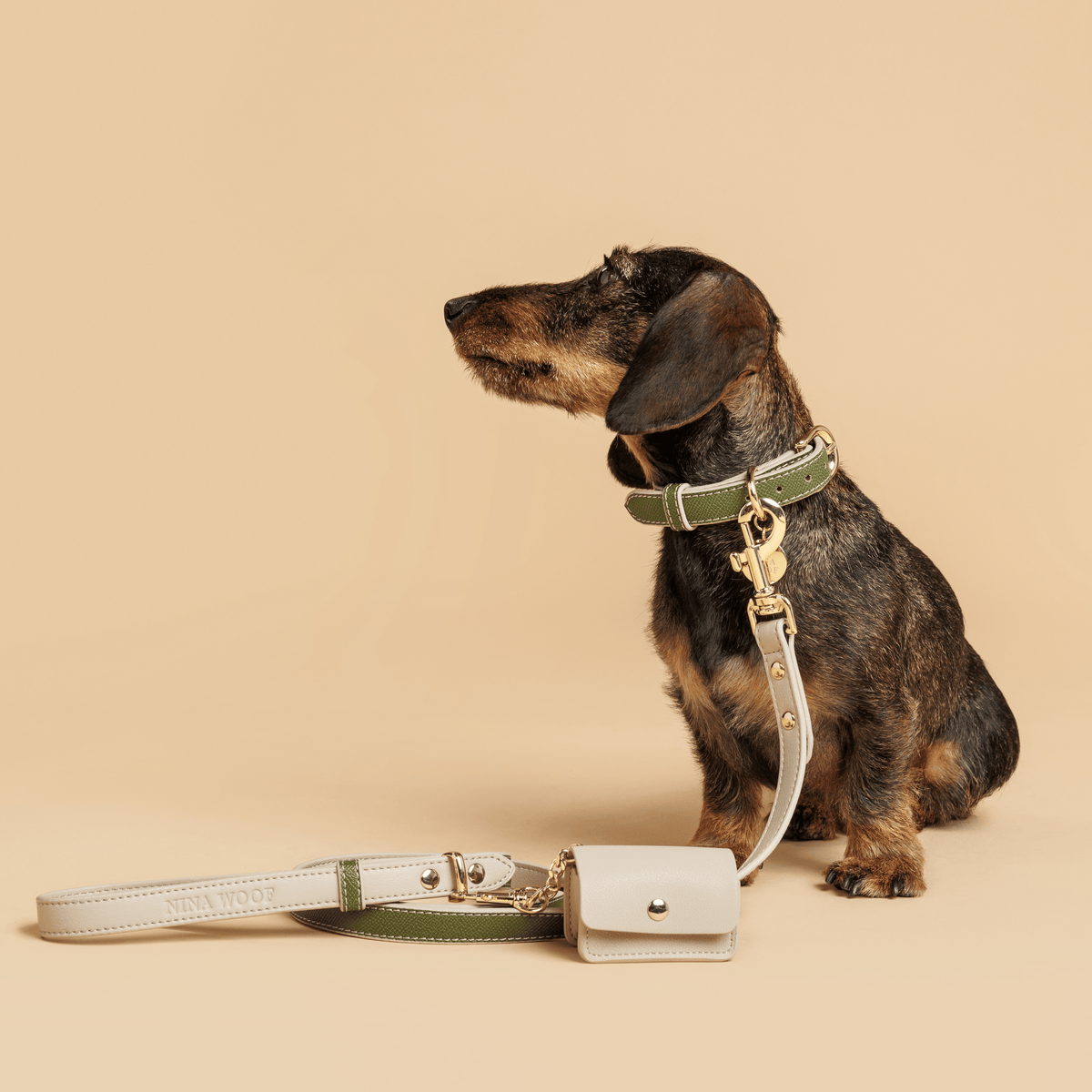 Collar para perro Copenhague · Oliva