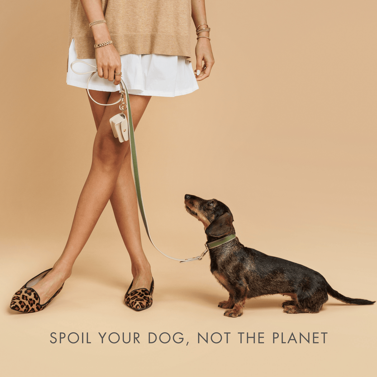 Correa para perro Copenhague · Oliva