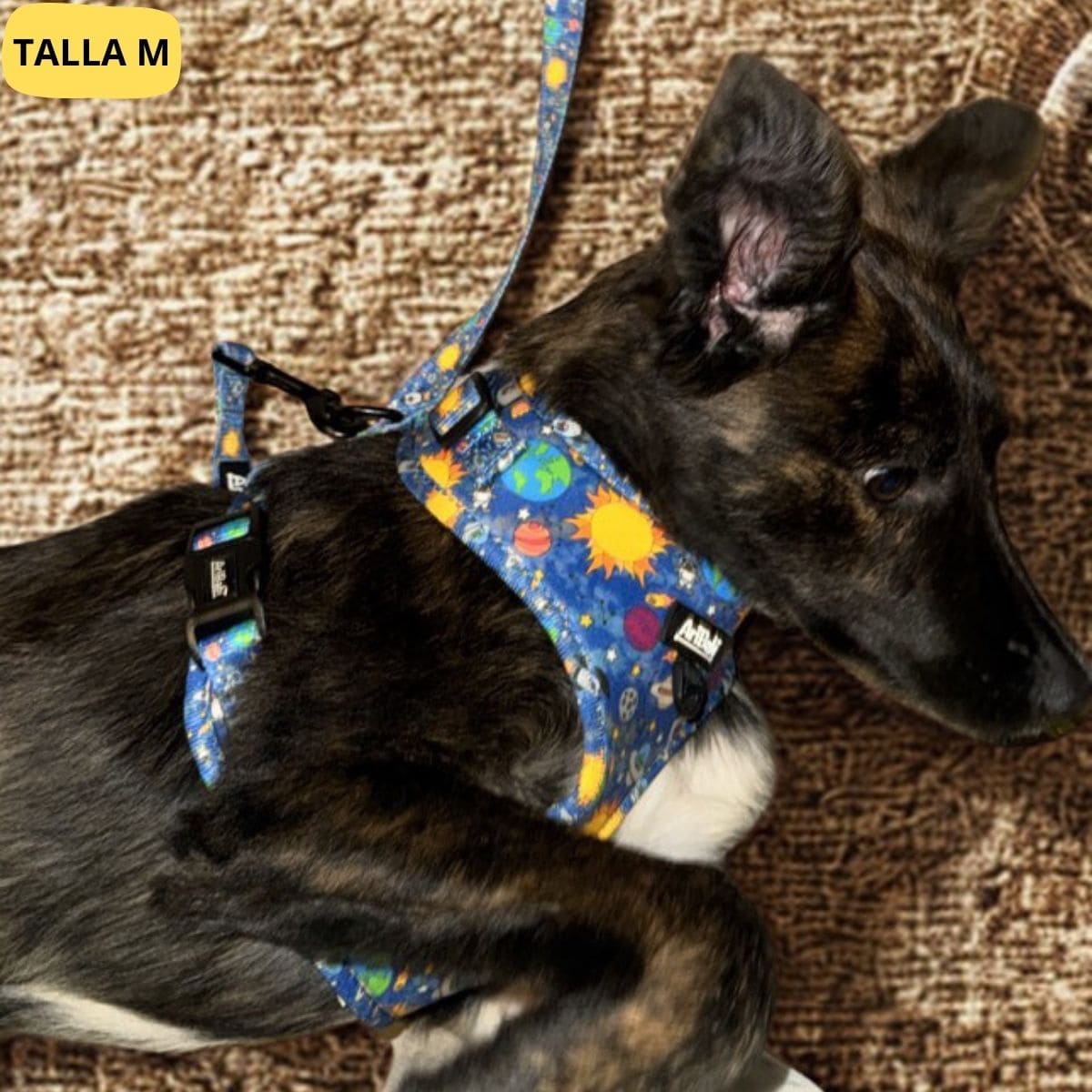 Arnés antitirones para perro Laika